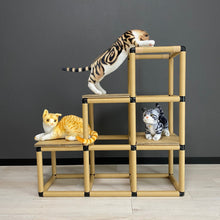 画像をギャラリービューアに読み込む, キャットステップ(3段)