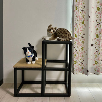 キャットステップ(3段)