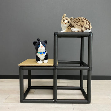 キャットステップ(2段)