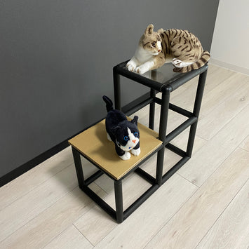 キャットステップ(2段)