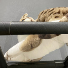 画像をギャラリービューアに読み込む, キャットステップ(3段)