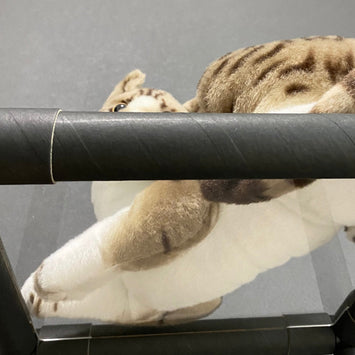 キャットステップ(3段)